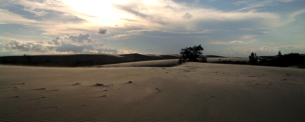 Lomas De Arena, Bolivia Sand Dunes